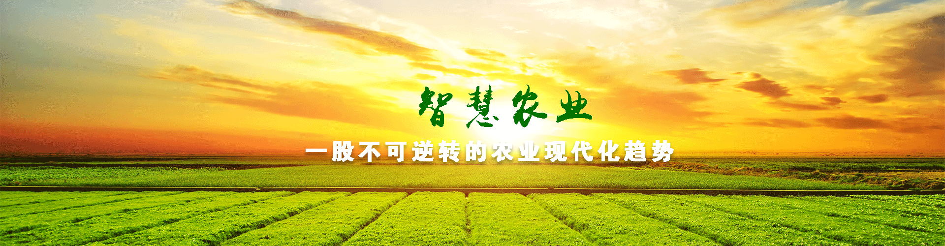 智能水肥一体机
