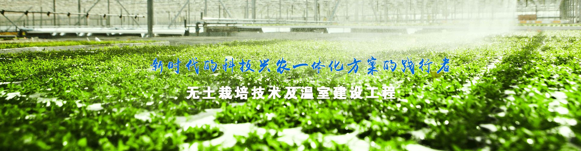 水肥一体化滴灌设备