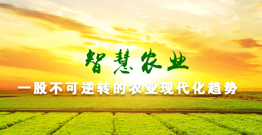 智能水肥一体机.png