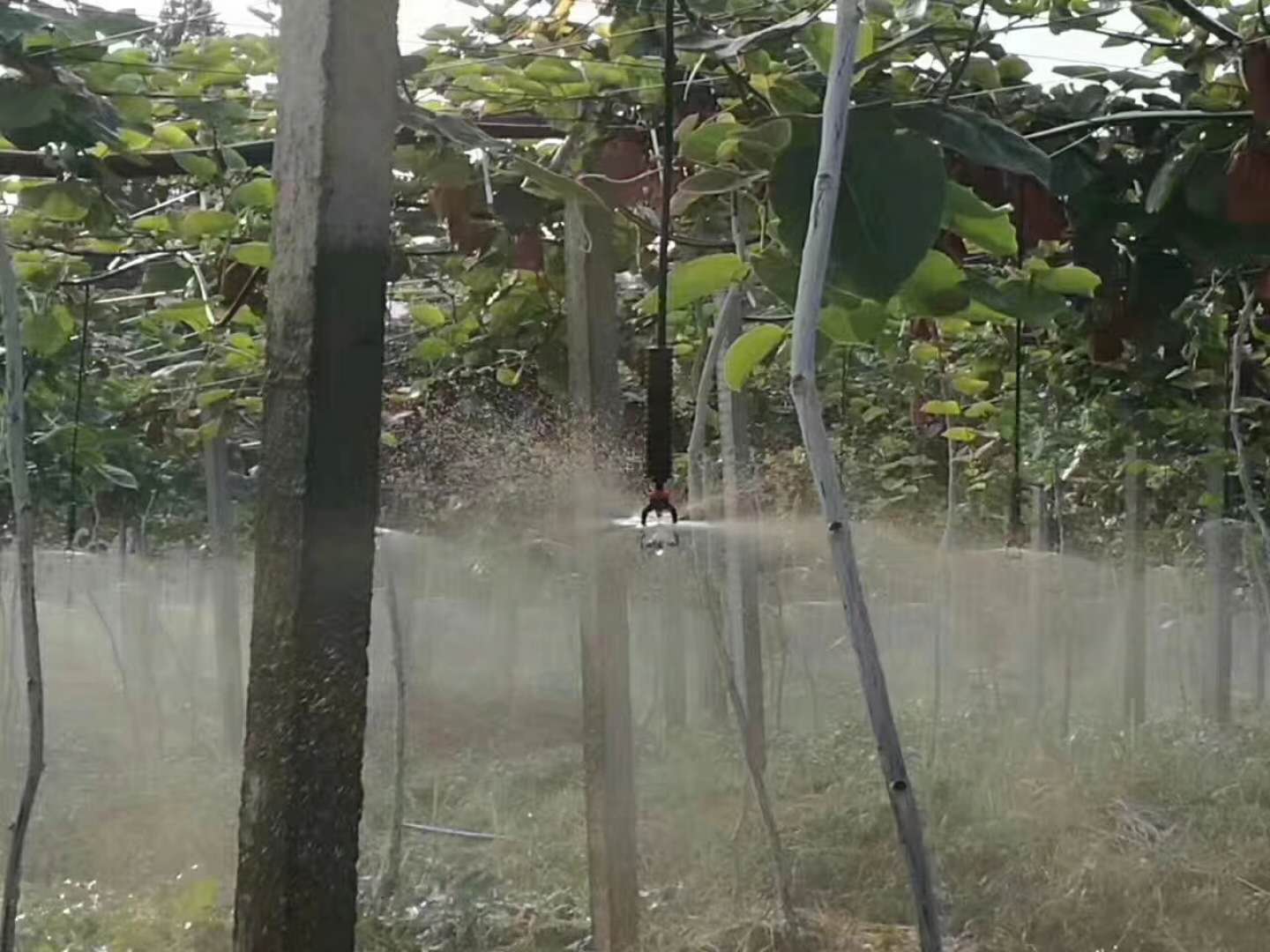水肥一体机.jpg