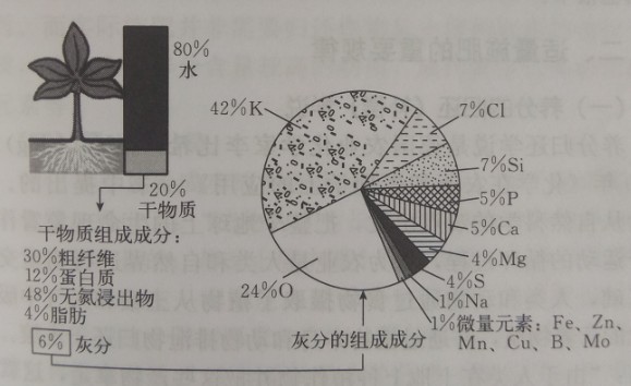 水肥一体机.jpg