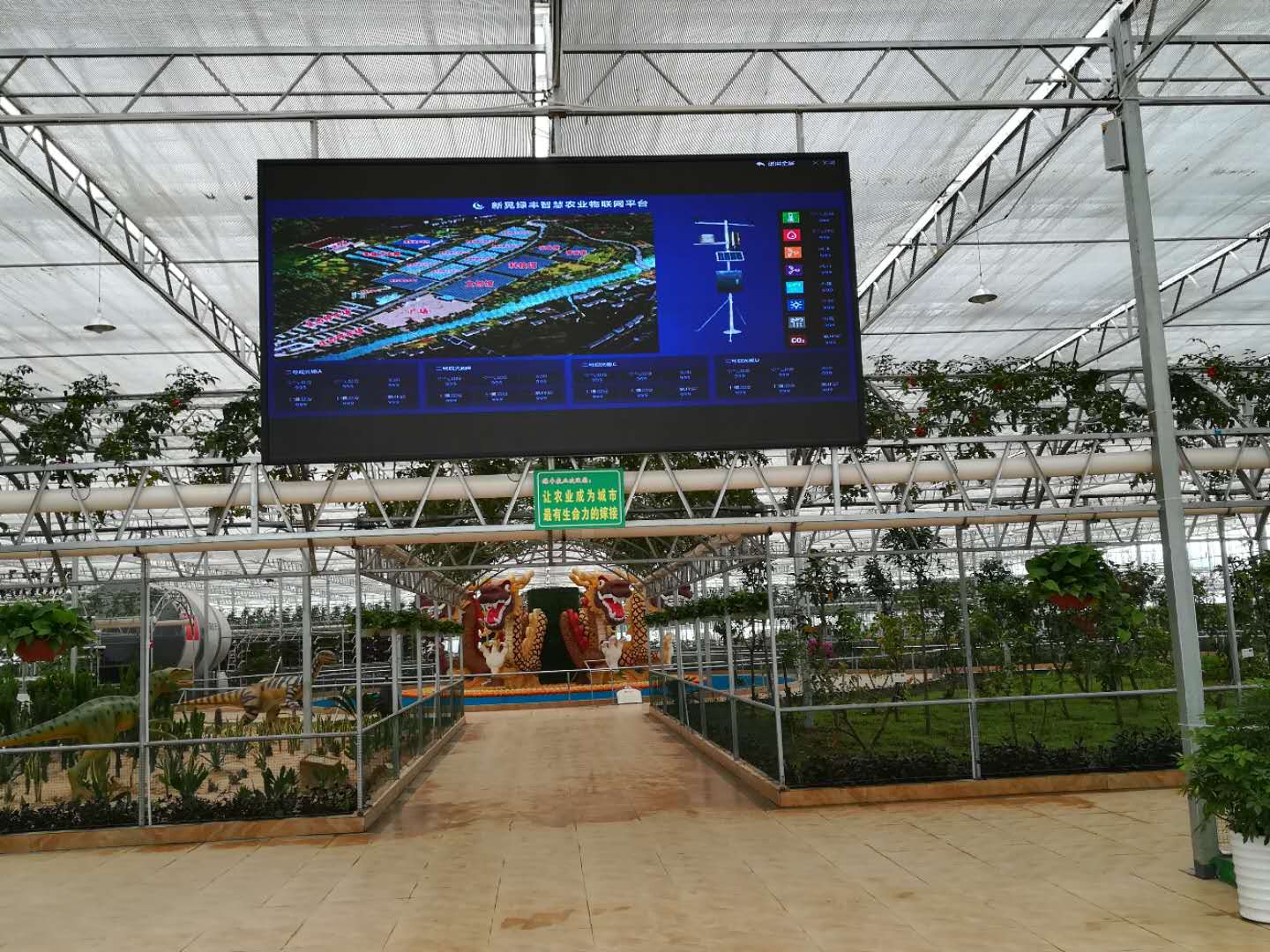 施肥机.jpg